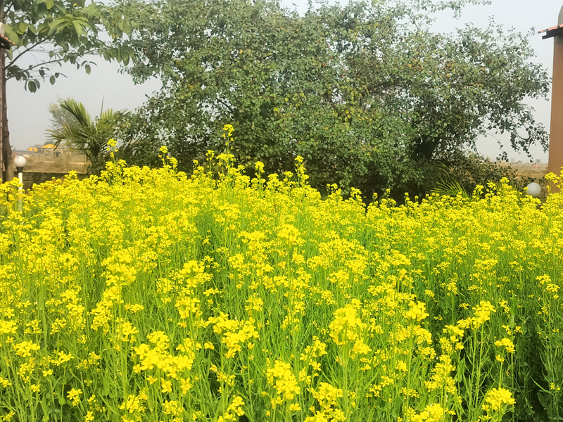Hut Sitting Area at Baul Sangee