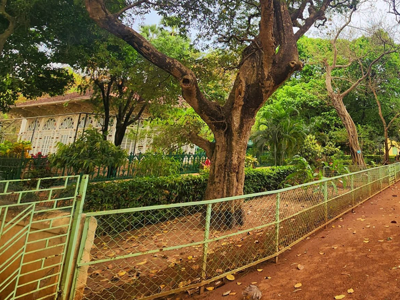 Open Stage at Baul Sangee