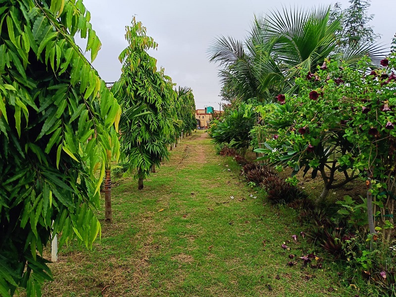 Open Stage at Baul Sangee